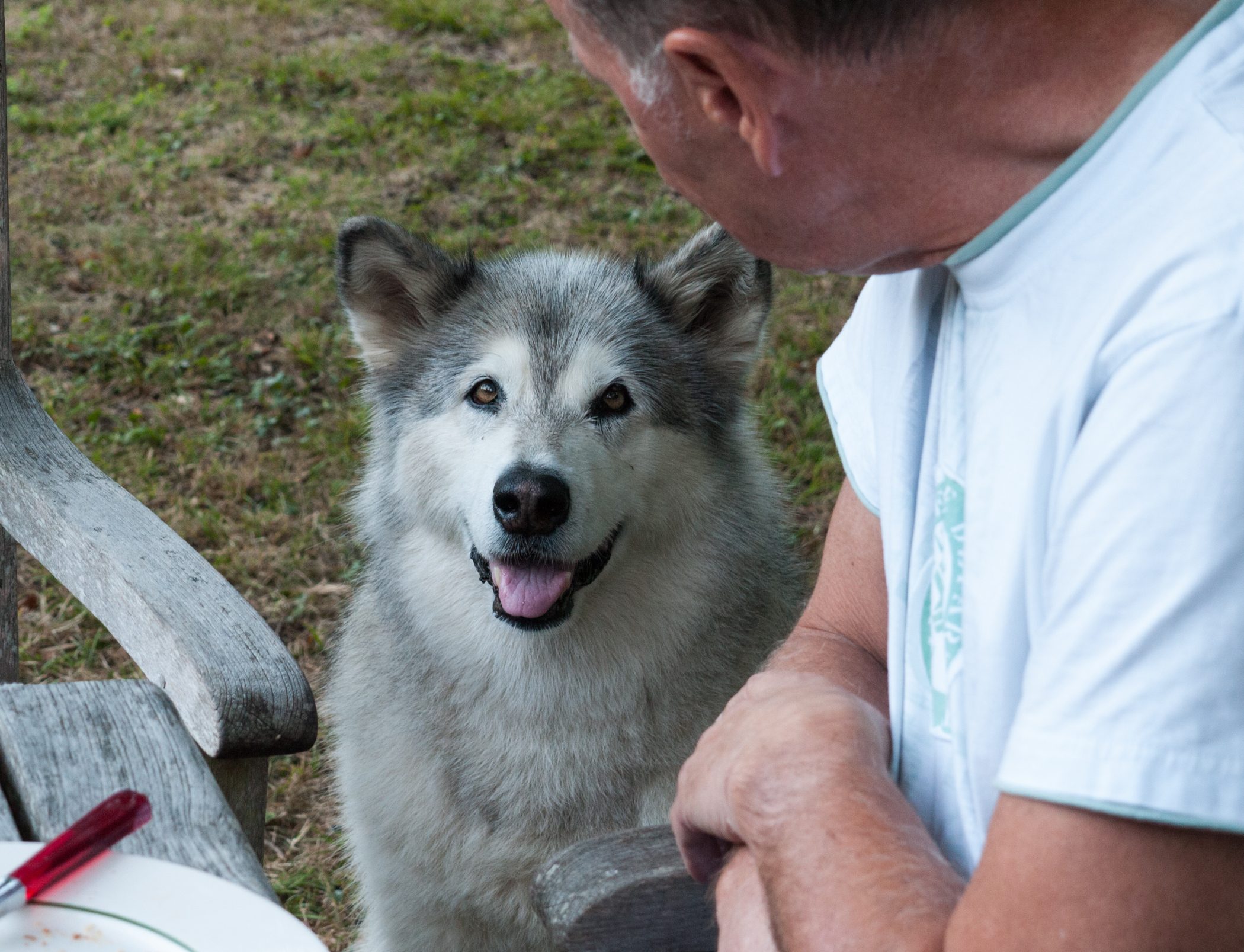 Biking in France - 2012