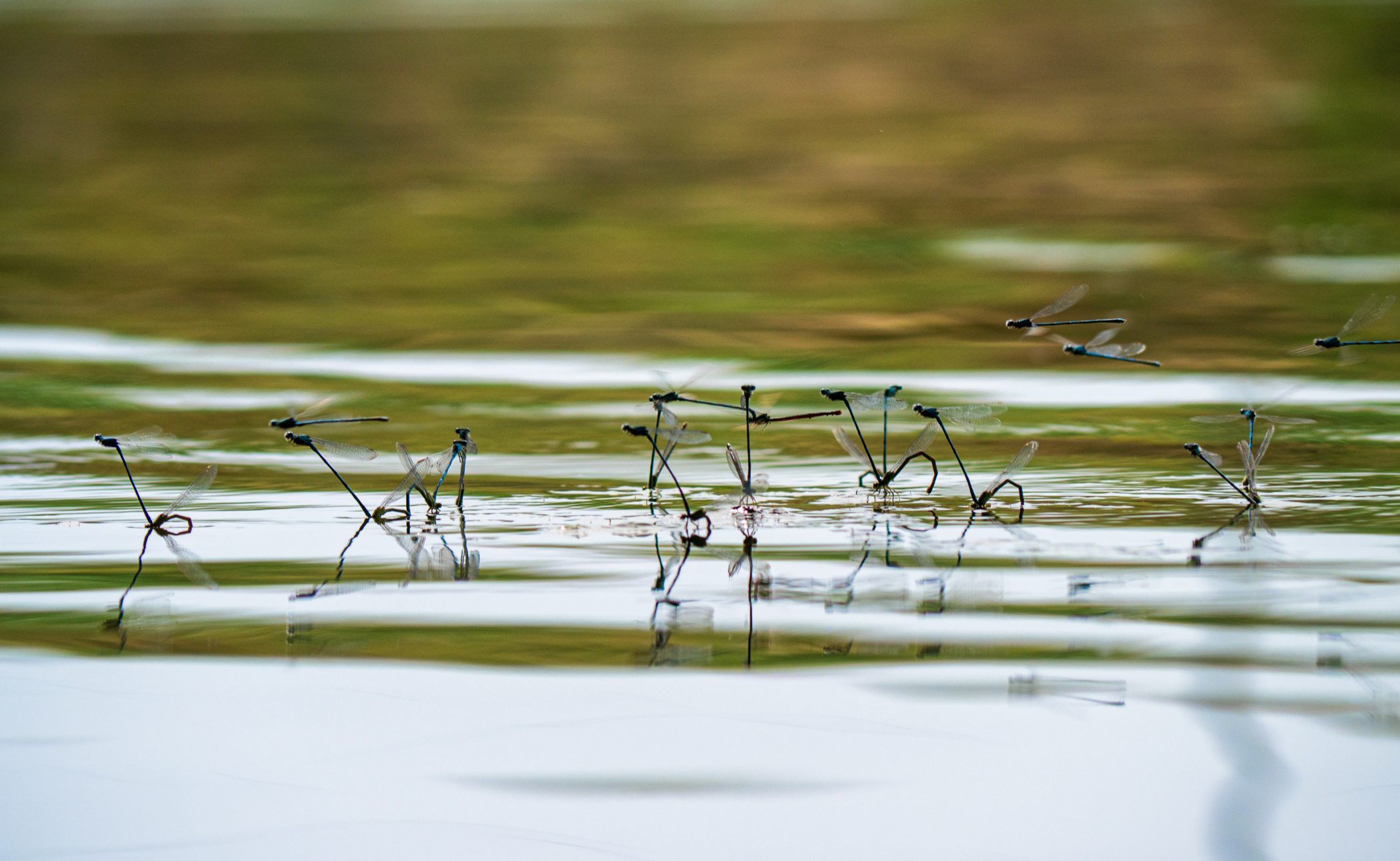 Biking in France - 2012