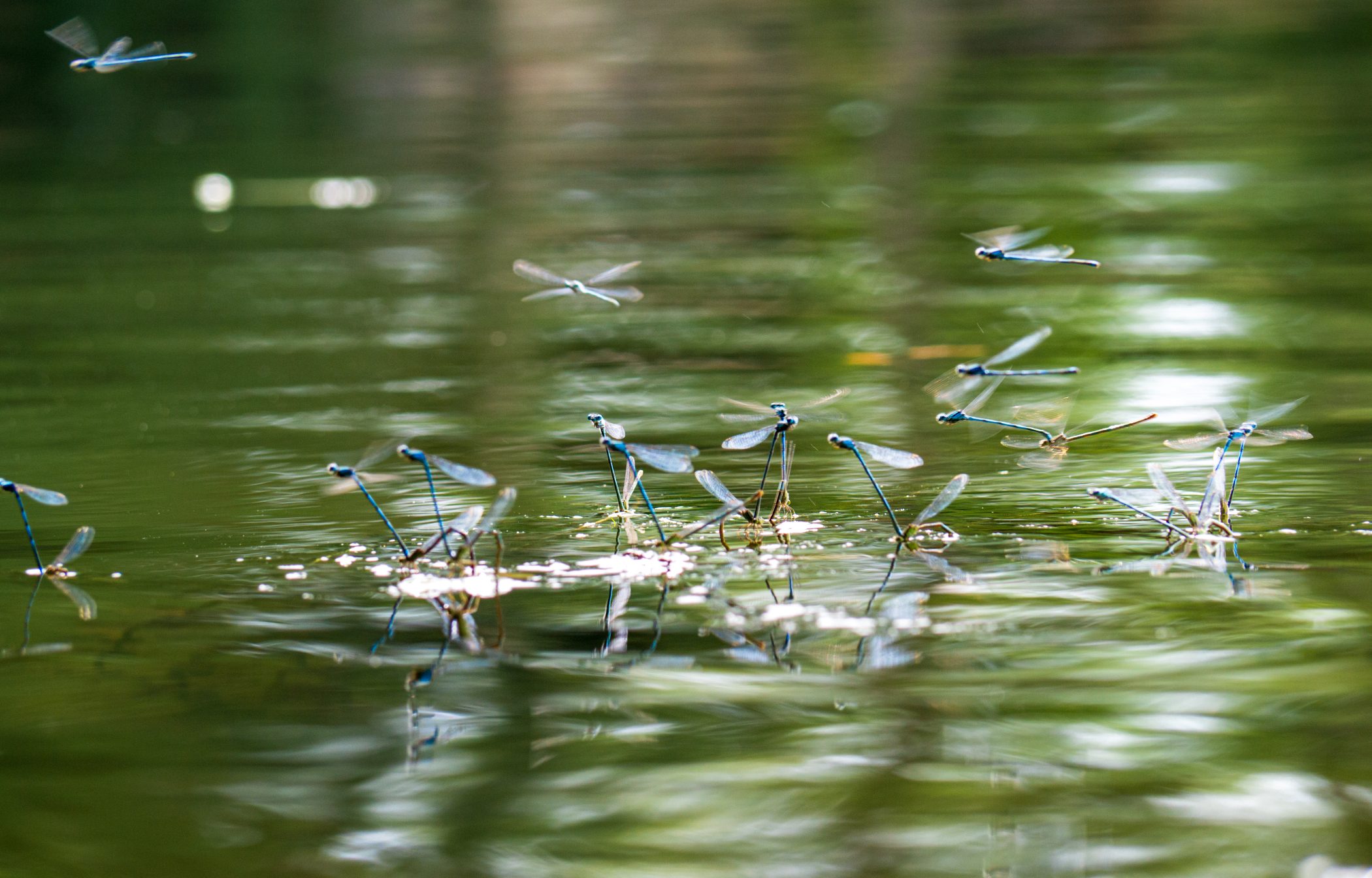Biking in France - 2012