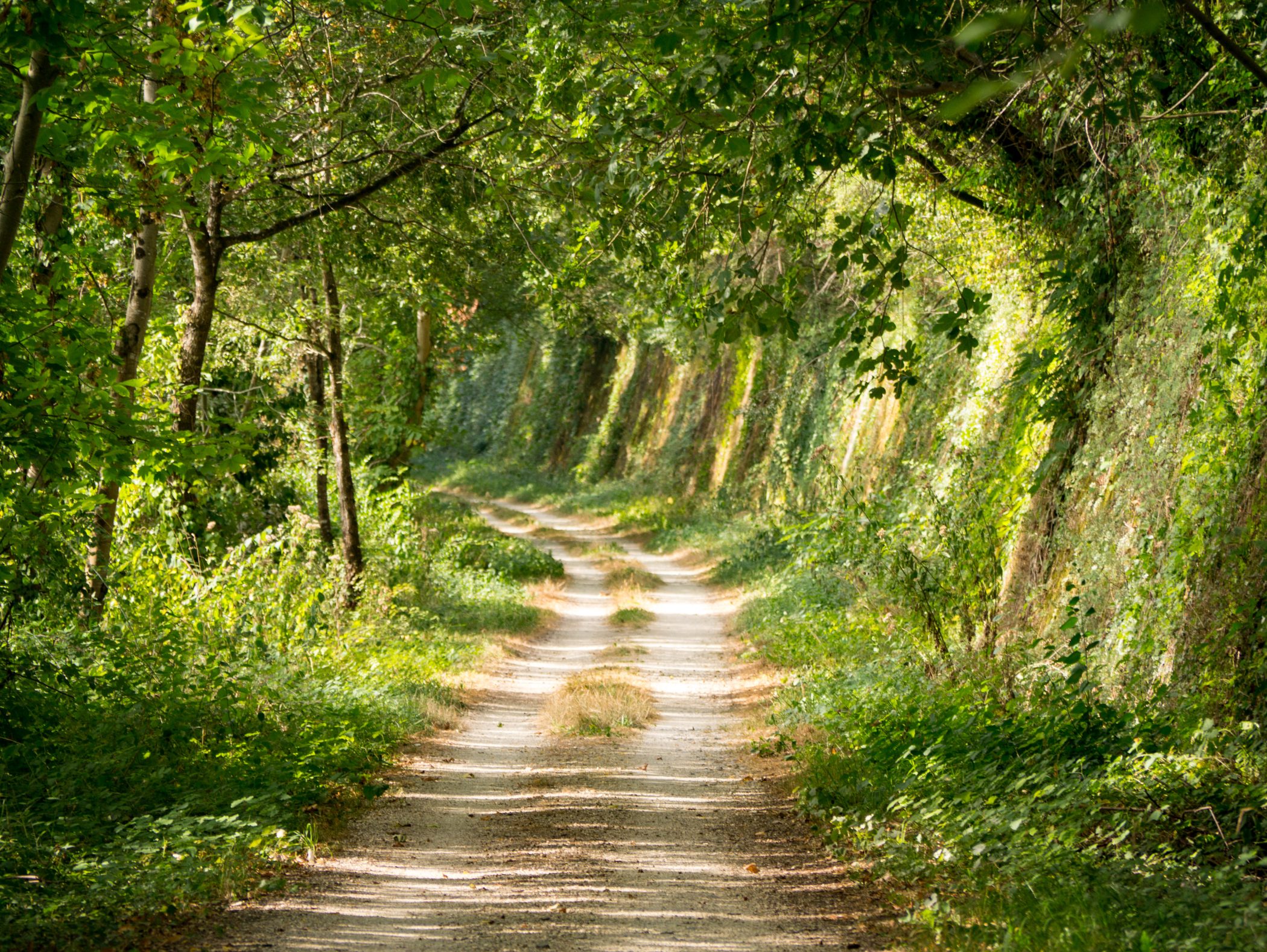 Biking in France - 2012