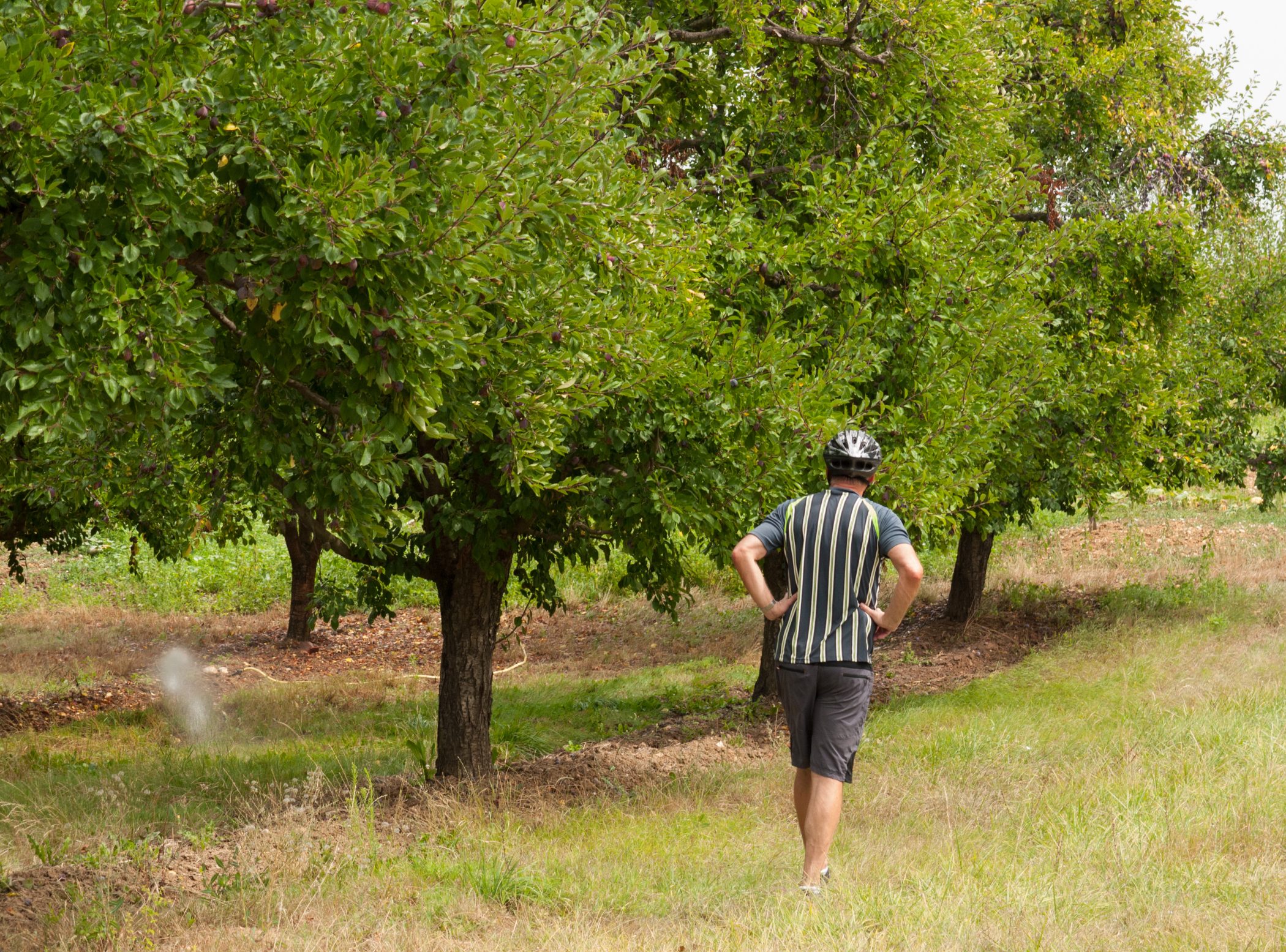 Biking in France - 2012