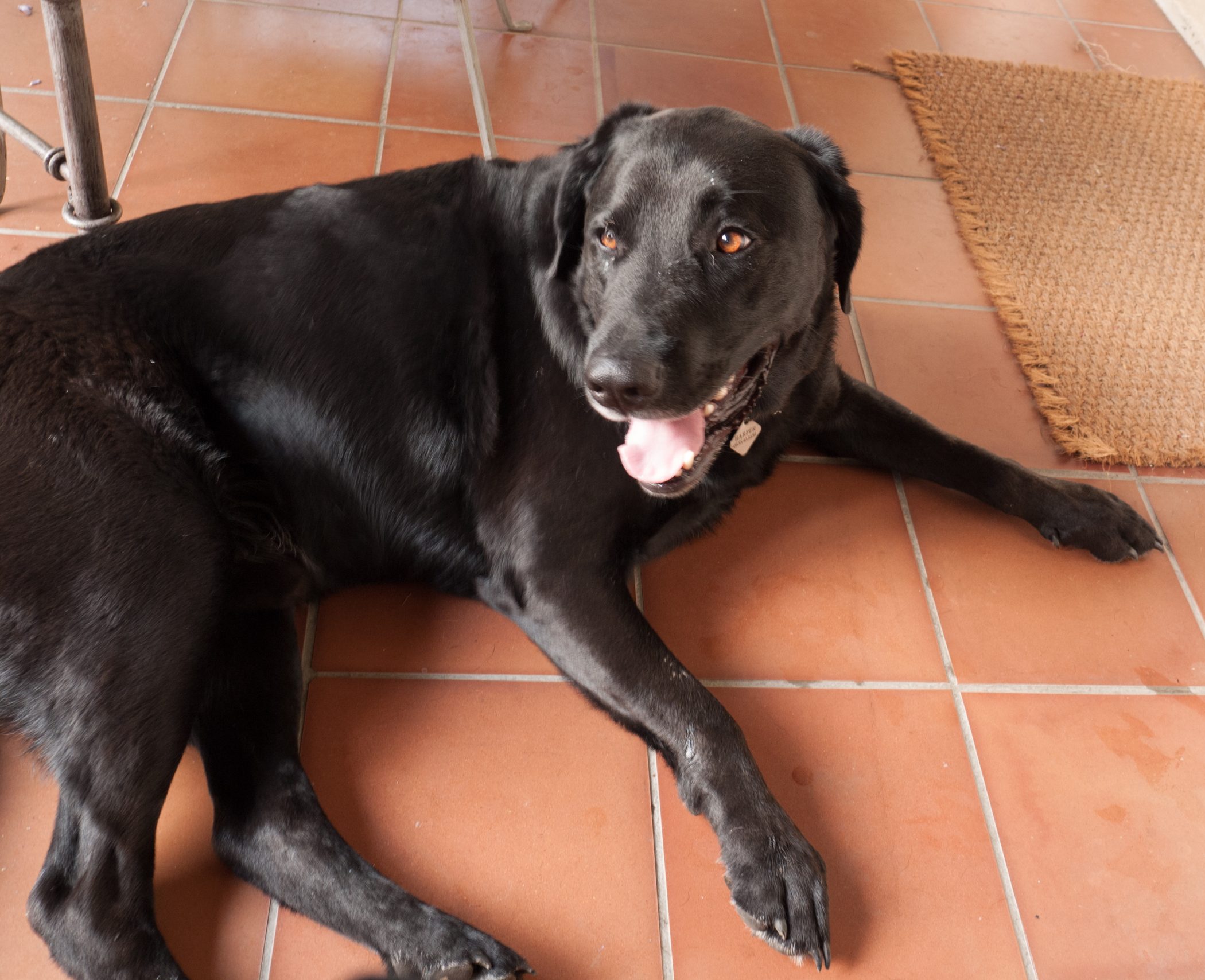 Biking in France - 2012