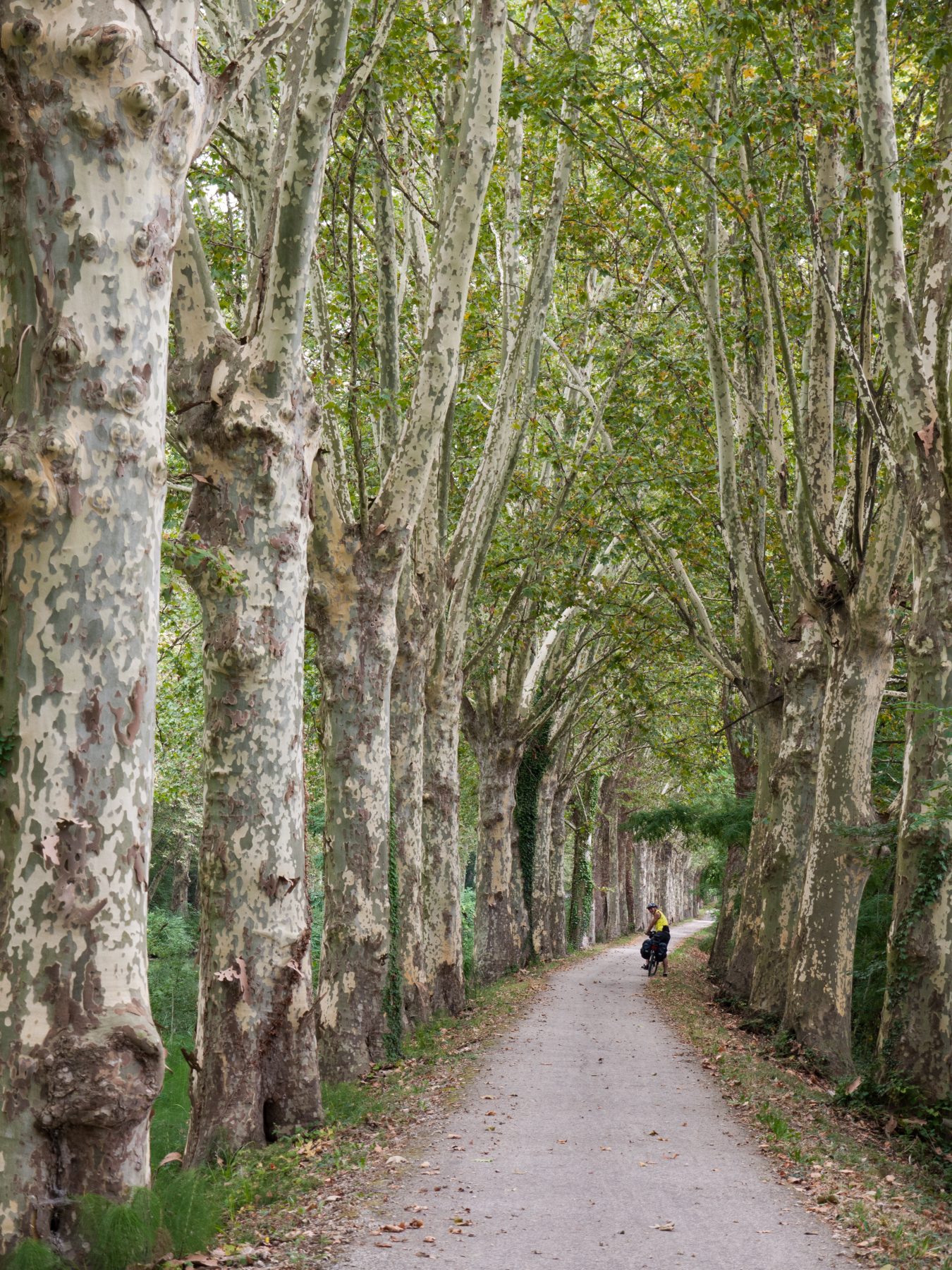 Biking in France - 2012