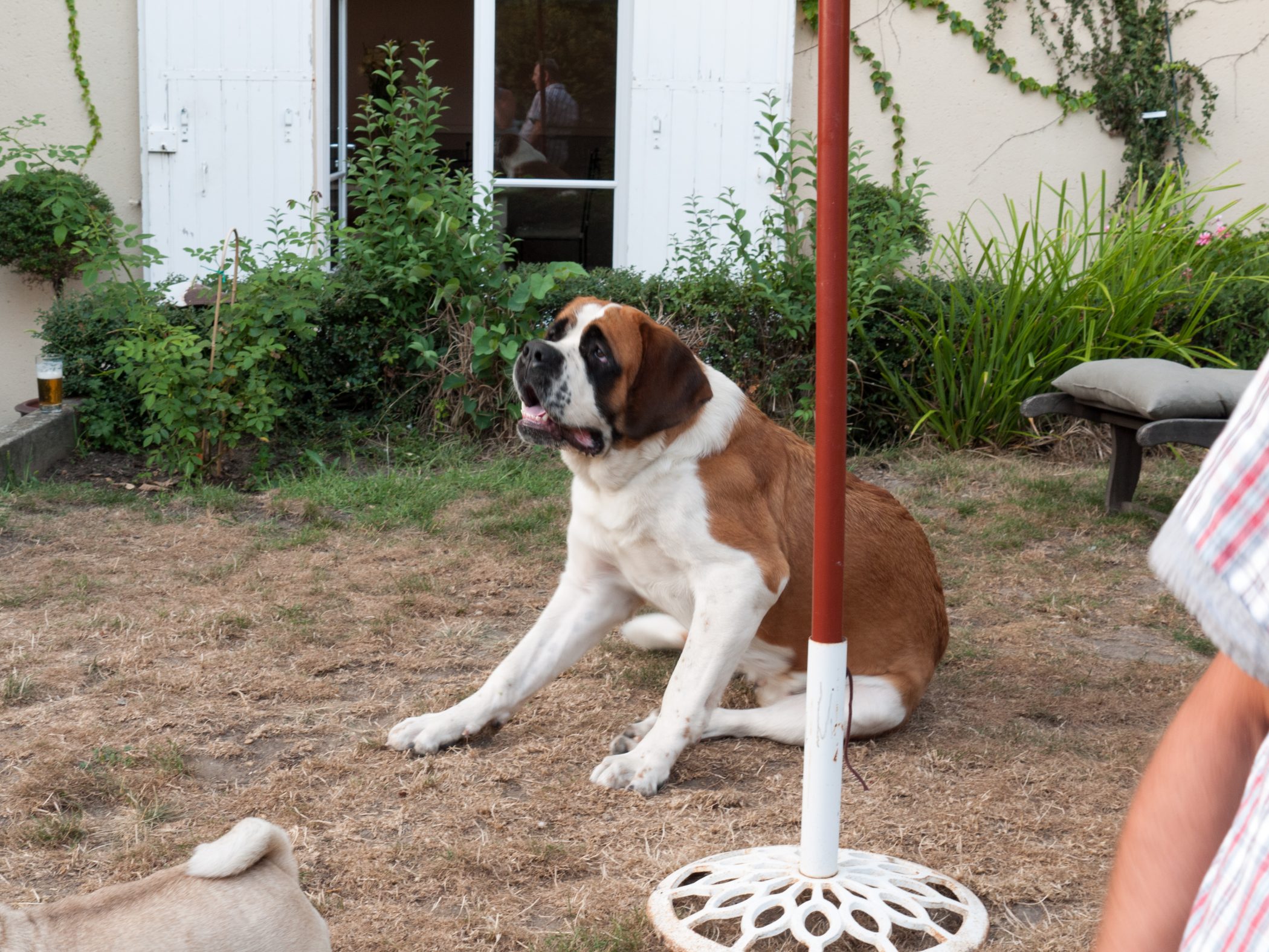 Biking in France - 2012