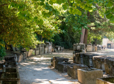 Surprises and Disappointments